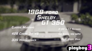 Group Of Hot Babes Washed Ford Shelby